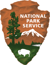 Nps
