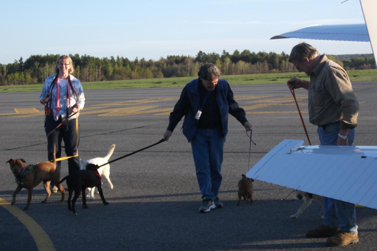 Pilots volunteer to rescue dogs from high kill shelters